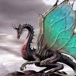 Meet your Posher, Toby